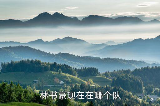  林書豪現(xiàn)在在哪個(gè)隊(duì)