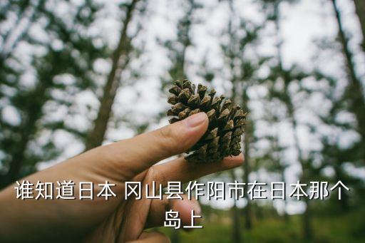 誰知道日本 岡山縣作陽市在日本那個(gè)島上