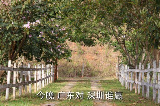 半決賽廣東對深圳哪個臺直播,深圳95電視引進(jìn)直播節(jié)目73套