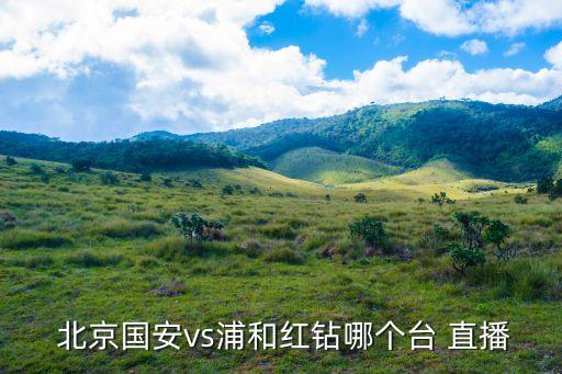  北京國安vs浦和紅鉆哪個臺 直播