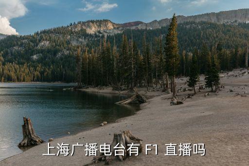上海廣播電臺(tái)有 F1 直播嗎