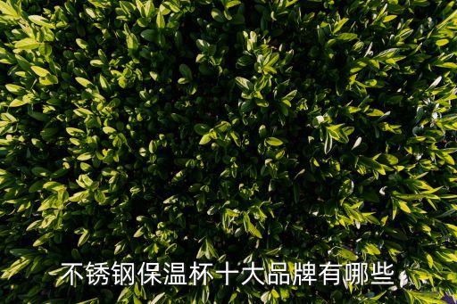 哪個(gè)年代用鹿角杯,國(guó)產(chǎn)保溫杯鹿角杯顏值高耐用又好看