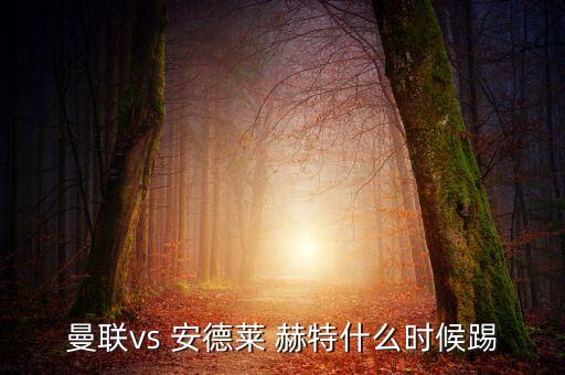 安德萊赫特哪個(gè)聯(lián)賽,前后兩次效力安德萊赫特俱樂部