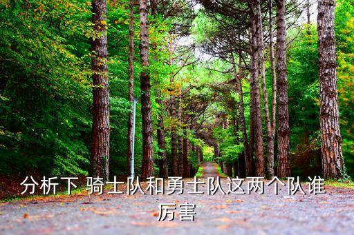 分析下 騎士隊(duì)和勇士隊(duì)這兩個(gè)隊(duì)誰 厲害