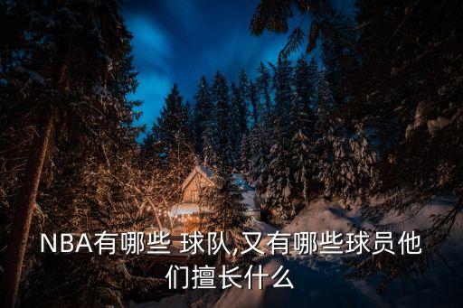 NBA有哪些 球隊,又有哪些球員他們擅長什么