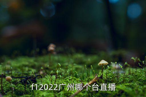 日本轉(zhuǎn)播f1是哪個臺,我喜歡央視的解說和足球