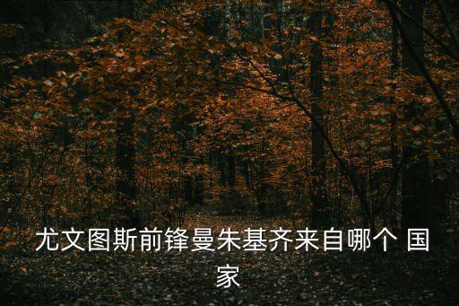 尤文圖斯是哪個國家的,上屆世界杯有12名尤文圖斯球員出征