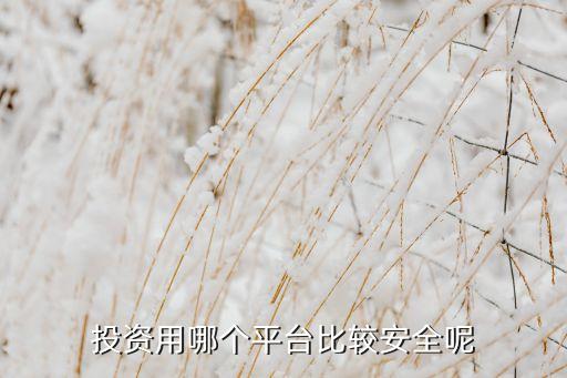 網(wǎng)投彩票哪個最安全,網(wǎng)上投資須謹慎