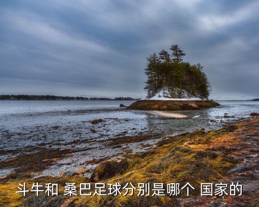 斗牛和 桑巴足球分別是哪個(gè) 國(guó)家的