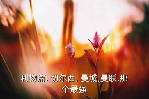 切爾西 曼城 哪個好看,切爾西和曼聯(lián)未來會更強?
