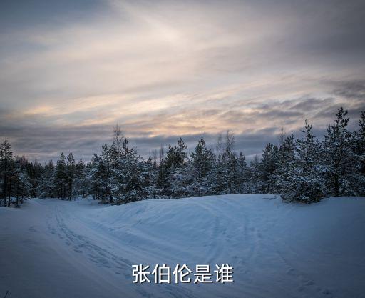 拉素是哪個隊,他是nba史上唯一得分手指比手指還多的球員