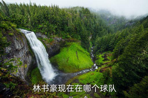 林書豪去哪個隊了,林書豪與nba達成3年3600萬協(xié)議