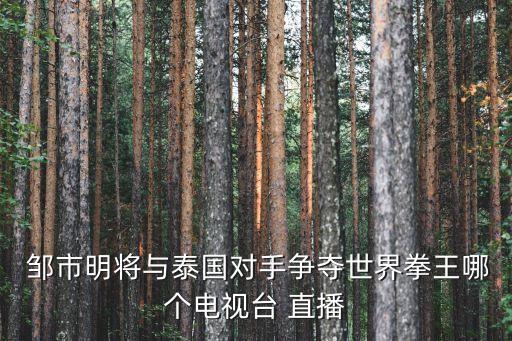  鄒市明將與泰國(guó)對(duì)手爭(zhēng)奪世界拳王哪個(gè)電視臺(tái) 直播