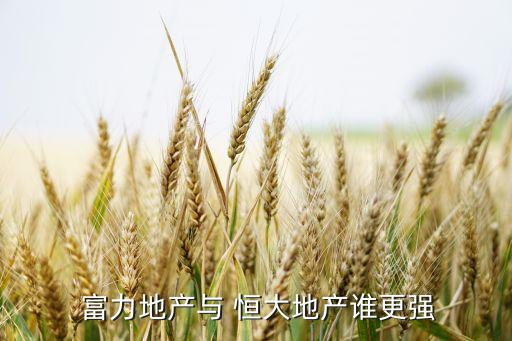 恒大和富力球隊(duì)哪個(gè)強(qiáng),廣州恒大5比00勝深圳富力