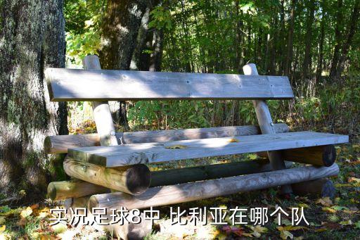 比利亞現(xiàn)在在哪個隊,比利亞永久轉(zhuǎn)會皇馬競轉(zhuǎn)會費510萬歐元