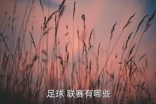 足球聯(lián)賽哪個(gè)最少,中國足協(xié)國內(nèi)四級(jí)聯(lián)賽介紹到此結(jié)束