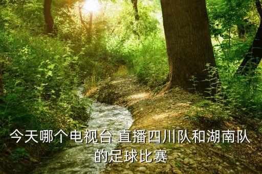 2016中乙哪個(gè)網(wǎng)絡(luò)直播,職業(yè)玩家:有點(diǎn)技巧就可以玩中乙