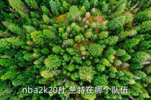杜蘭特2014年在哪個隊,nba球星杜蘭特的職業(yè)生涯回顧