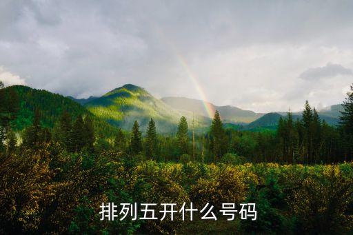 排列五在哪個(gè)平臺買,排列5電腦體育彩票獎金分配比例出爐