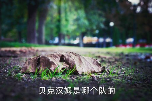 貝克漢姆現在在哪個隊,英超球星貝克漢姆宣布退役