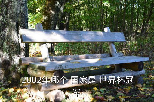  2002年哪個(gè) 國家是 世界杯冠軍