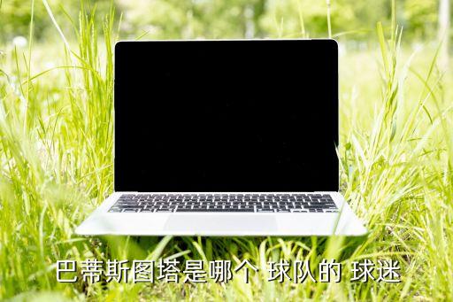 薩迷是哪個球隊的球迷,中國式球迷只愛自己最喜歡的球隊