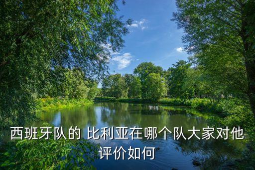 西班牙隊(duì)的 比利亞在哪個(gè)隊(duì)大家對(duì)他評(píng)價(jià)如何