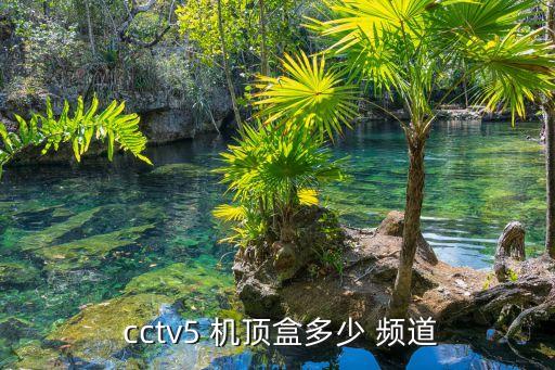 cctv5的頻道是哪個臺,武漢出現第一起確診病例
