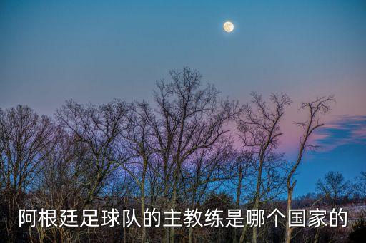 薩卡特佩克是哪個隊,巴拉圭國家隊前主帥馬蒂諾正式出任主帥