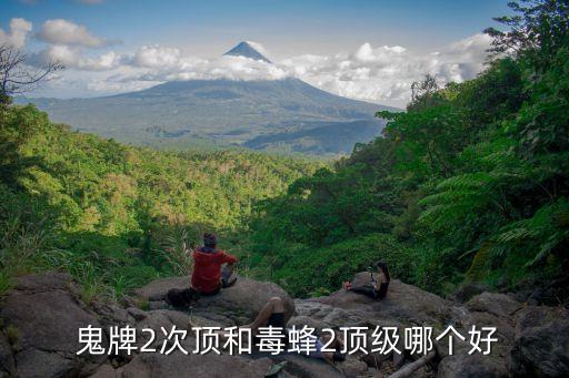  鬼牌2次頂和毒蜂2頂級(jí)哪個(gè)好