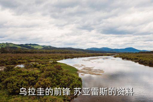 蘇亞雷斯是哪個國家的,前國腳蘇亞雷斯轉(zhuǎn)會尤文圖斯