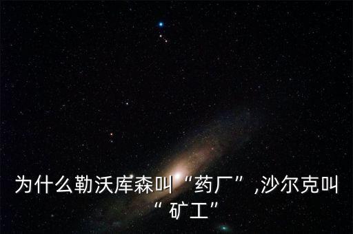 為什么勒沃庫森叫“藥廠”,沙爾克叫“ 礦工”