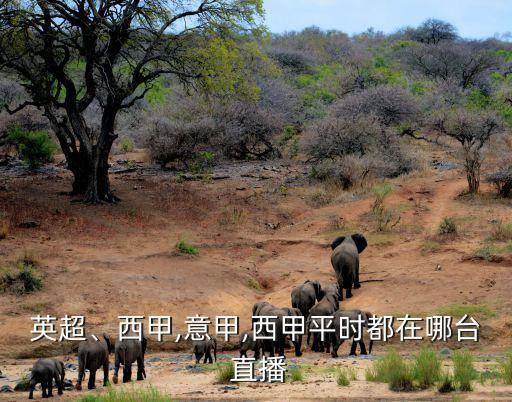 英超、西甲,意甲,西甲平時都在哪臺 直播