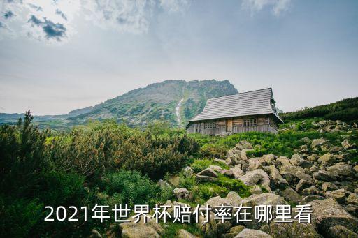 競彩官方是哪個國家,中國體育彩票網(wǎng)站提供競彩賠率信息