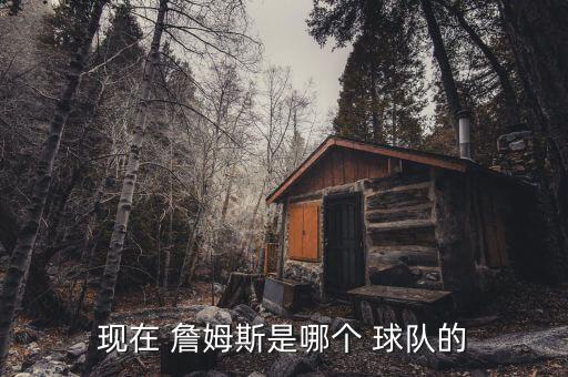 現(xiàn)在 詹姆斯是哪個(gè) 球隊(duì)的