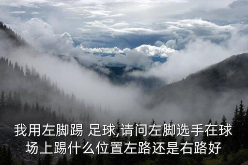 我用左腳踢 足球,請(qǐng)問(wèn)左腳選手在球場(chǎng)上踢什么位置左路還是右路好