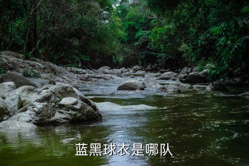 哪個球隊是藍色隊服,意大利藍色足球隊成功復(fù)蘇職業(yè)足球聯(lián)賽
