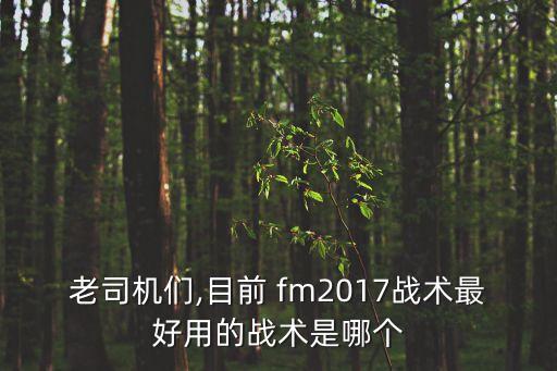fm2017哪個(gè)版本最好,財(cái)富管理學(xué)院2021財(cái)政預(yù)算案