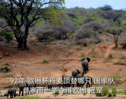 1992年歐洲杯的冠軍是哪個(gè)國(guó)家,10個(gè)歐洲杯冠軍of國(guó)家