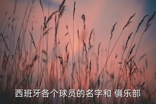 西班牙各個球員的名字和 俱樂部