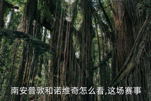  南安普敦和諾維奇怎么看,這場賽事