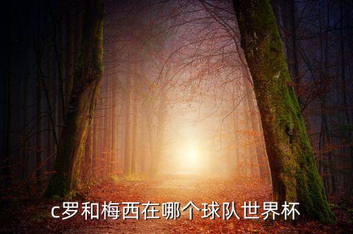 c羅和梅西在哪個球隊(duì)世界杯