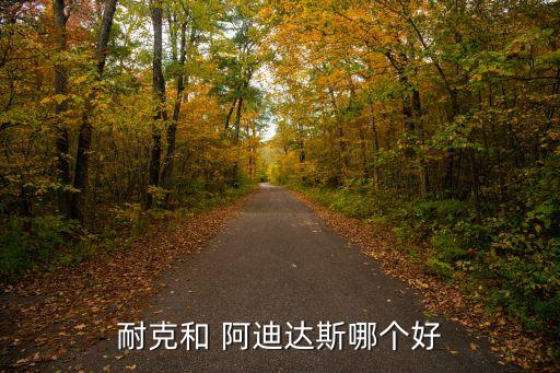 毒蜂阿迪達斯x哪個更好,耐克和阿迪達斯哪個更好?