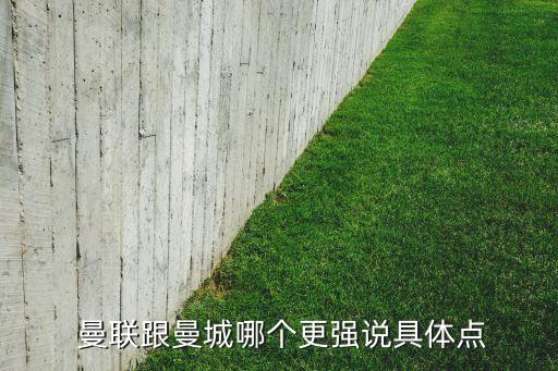 曼聯(lián)和巴黎圣曼哪個強,埃雷拉硬度強于曼聯(lián)但曼聯(lián)仍領(lǐng)先