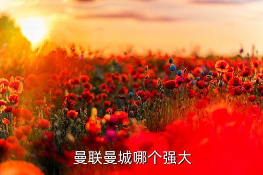  曼聯(lián)曼城哪個(gè)強(qiáng)大