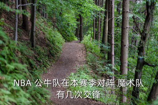 魔術(shù)vs公牛哪個隊能贏,沒有喬丹公?；静豢赡苴A