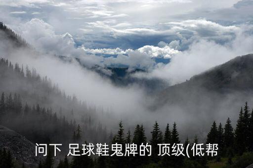 問下 足球鞋鬼牌的 頂級(jí)(低幫