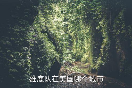 雄鹿隊哪個隊,密爾沃基雄鹿隊，nba球隊之一