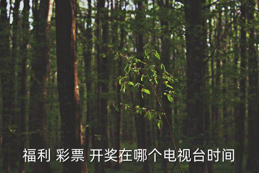 體育彩票開(kāi)獎(jiǎng)在哪個(gè)臺(tái),中國(guó)福利彩票中心推出雙色球開(kāi)獎(jiǎng)視頻