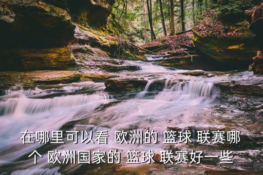 歐洲哪個籃球聯(lián)賽最好,歐洲太注重整體籃球皇馬隊進(jìn)球最多